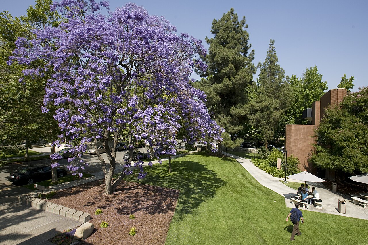 Claremont Graduate University campus